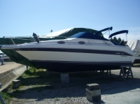 SEA RAY 250 SUNDANCER