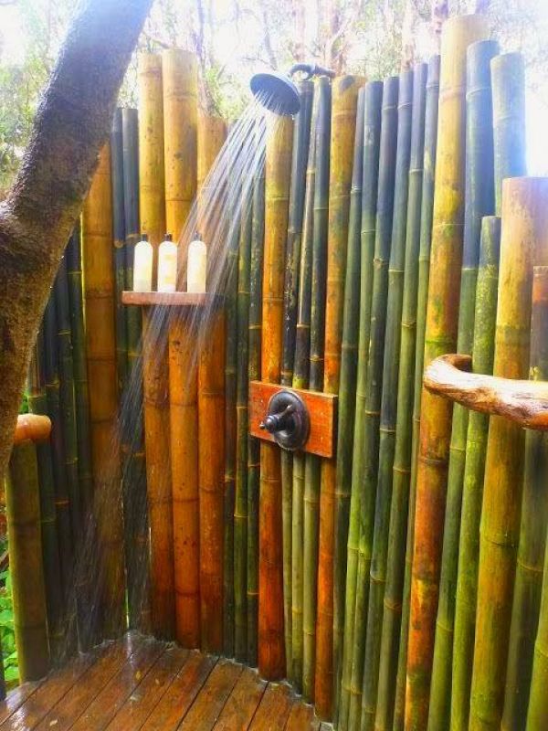 Vendo canne di bamb bambu con diametro da 1 a 10 cm. 