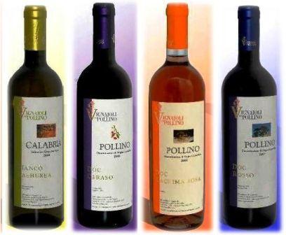 Vini Dop Terre di Cosenza  Sottozona Pollino