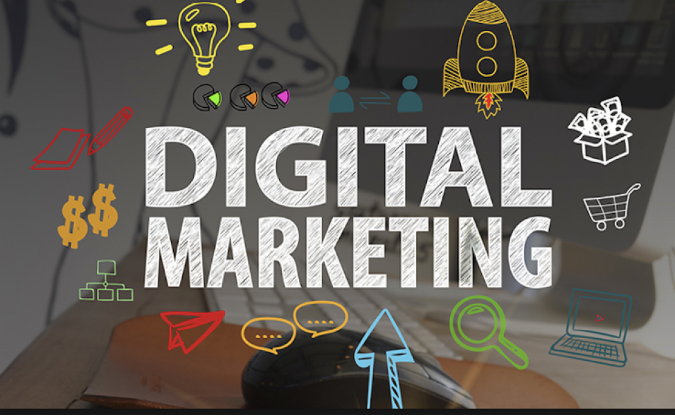 Venditore digital marketing  TCM213