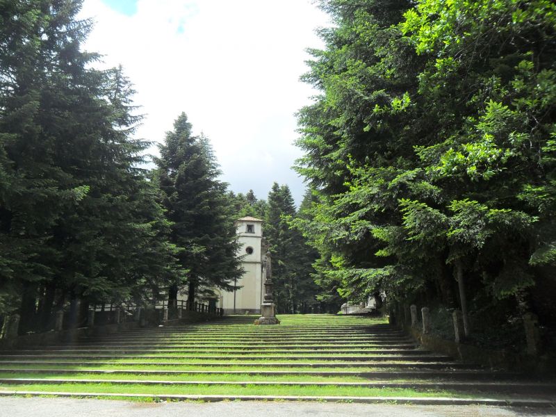 Serra San Bruno libero appartamento ben arredato in montagna