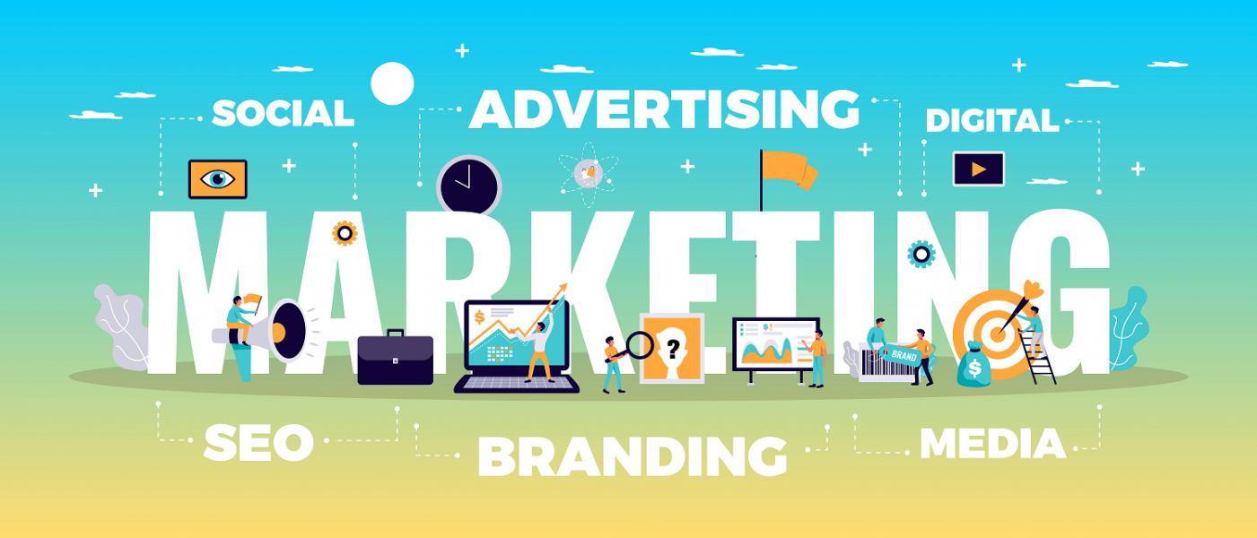 Venditore servizi digital marketing  TVM221