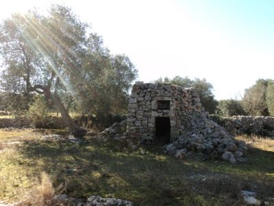 Terreno con pajara