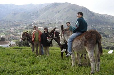 Passeggiata con gli Asinelli