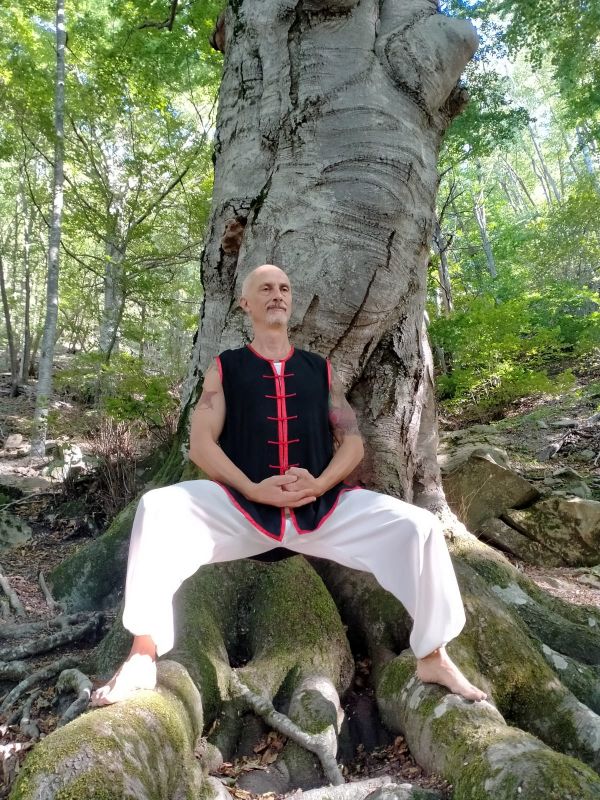 Qigong e alberi