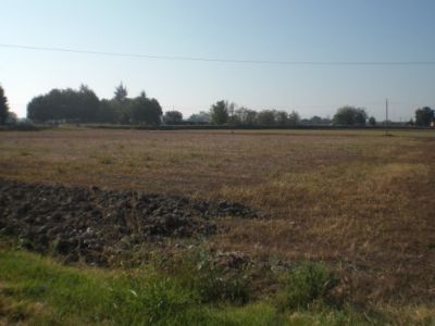 TERRENO EDIFICABILE A PONTETARO