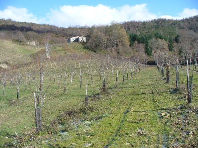  COPPIA DI PASTORI-CONTADINI