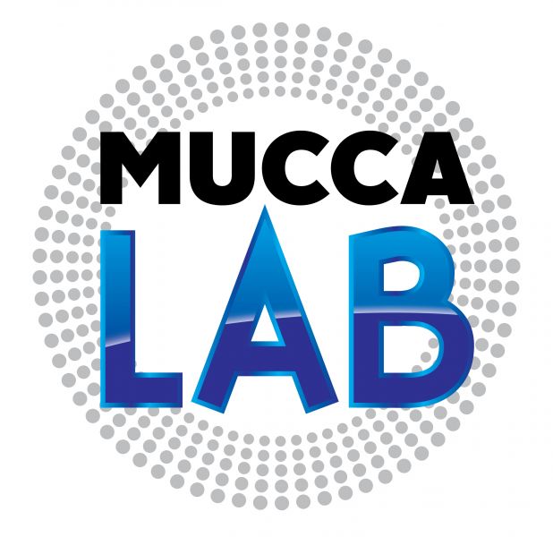 Muccassassina cerca artisti