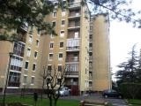 Affitto appartamento arredato