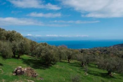 Vendesi Fabbricato Salerno (Scario)..Casain Immobiliare 081200198