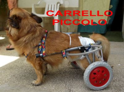 Carrellino per cani disabili