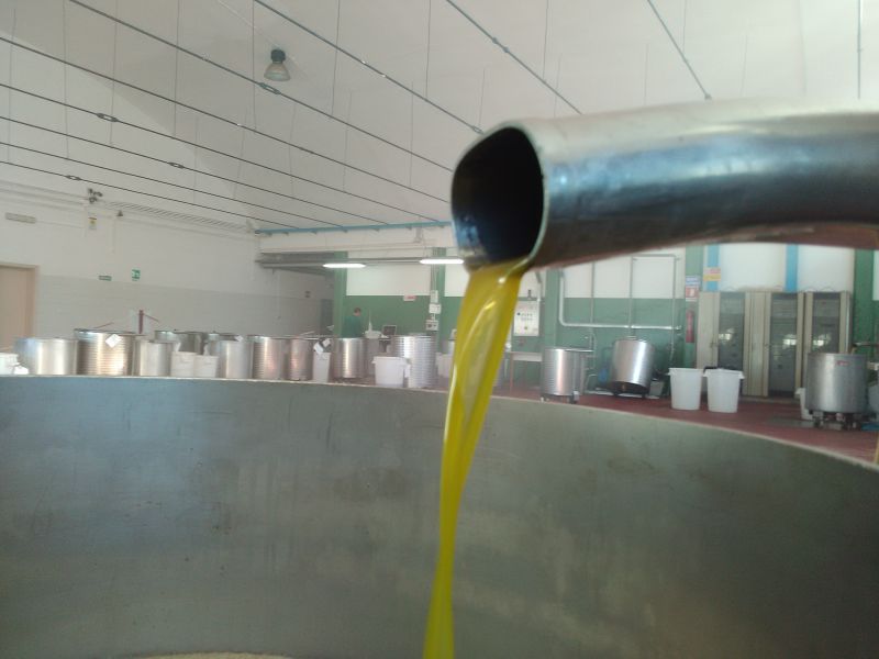 Olio di Oliva del Salento  Lecce  Puglia