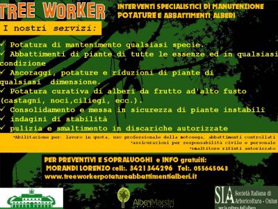 Potature e abbattimenti alberi alto fusto