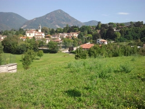 Terreni agricoli di varie metrature a ERBA