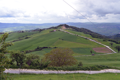 Terreno 30 ettari vendesi