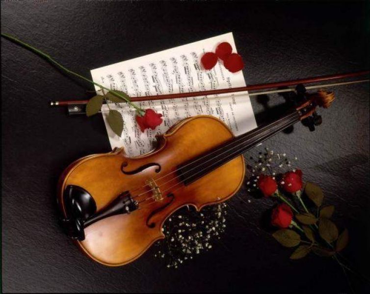 Lezioni di Violino e Teoria a Domicilio o presso la Scuola