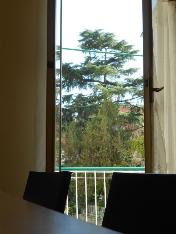 Bilocale arredato per TRE studenti